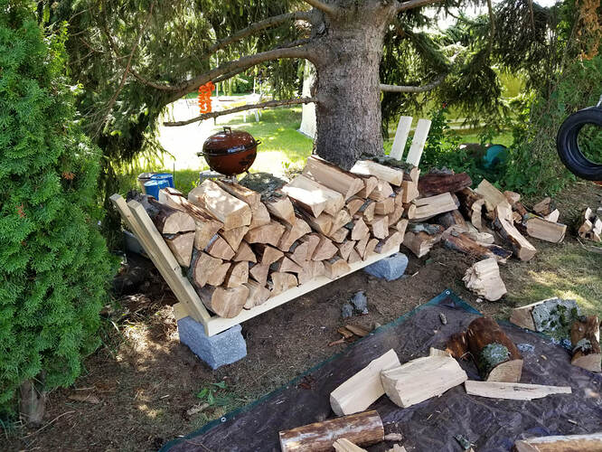 DIY Firewood Rack with Fire Wood (9)
