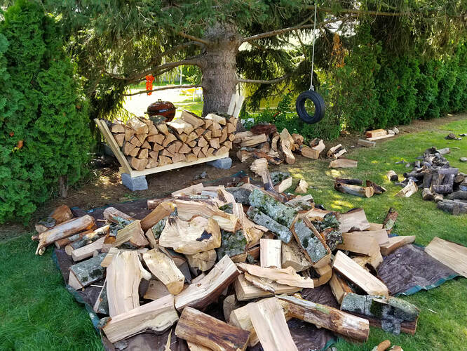 DIY Firewood Rack Fire Wood(8)